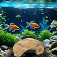 thumbnail image 2 of LLDYYDS Reptile Hides and Caves Rock Reptile Hideout Terrarium Habitat DÃ©cor for Bearded Dragon Lizards Ball Python Snakes One Size, 2 of 5