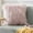 Pink, variant on PATLOLLAV Ultra Soft Plush Pillow Case,Faux Fur Solid Throw Decorative Pillow Cover Cushion Covers Luxury Soft Decorative Pillowcase Fuzzy Pillow Covers for Bed Couch,16 x 16 Inches,