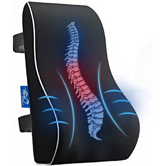 Chrissy Lumbar Support Pillow for Office Chair & Car, Memory Foam Back Cushion for Back Pain Relief & Posture Support, Breathable Mesh Cover, Adjustable Straps, Removable Washable Cover
