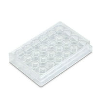 24-Well Cell Culture Plate