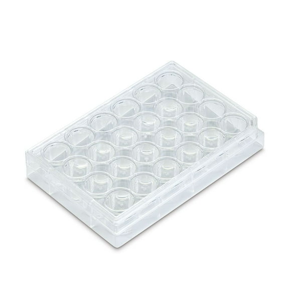 24-Well Cell Culture Plate