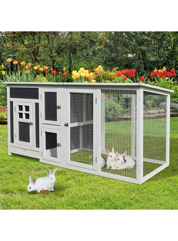 Large Chicken Coops in Chicken Coops