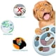 thumbnail image 4 of Rompecabezas para perros rompecabezas para perros entrenamiento de inteligencia rompecabezas para perros con premios perros, 4 of 5