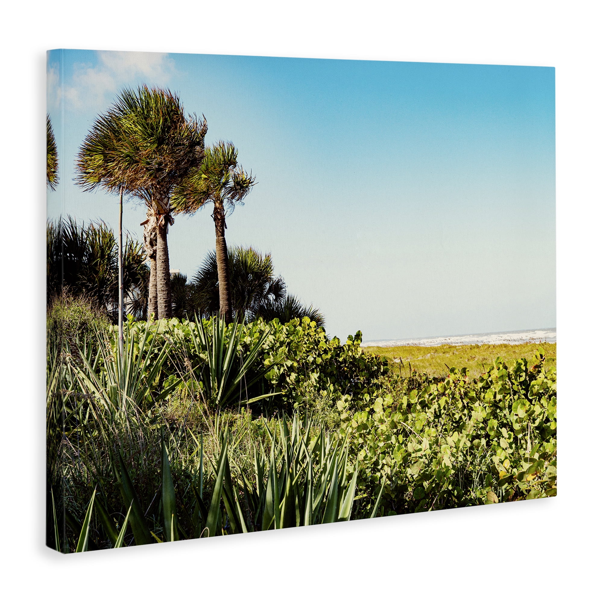 Stupell Industries Lush Tropical Shoreline Landscape Photography Gallery Wrapped Canvas Art Print Wall Art, 48 x 36