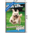 thumbnail image 3 of Avanti - Dog Joy Wall Poster, 22.375" x 34", Framed, 3 of 6