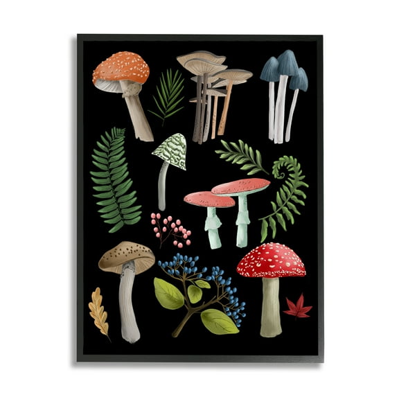 Stupell Industries Woodland Botanicals on Black Botanical & Floral Painting Black Framed Art Print Wall Art, 11 x 14