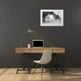 thumbnail image 3 of The Yellowstone Collection 14x11 White Modern Wood Framed Museum Art Print Titled - Bobcat along the Madison River, Yellowstone National Park, 3 of 4