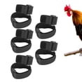 thumbnail image 5 of Anti,Crowing Chicken Collar, Adjustable, Durable Nylon Design For Roosters  Larger Birds, 10 Count, 5 of 6