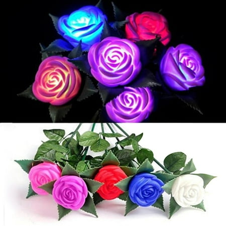

Baiwo Romantic Rose Pattern Flashing LED Lamp for Room Garden Yard