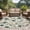 Teal LightCyan Beige, variant on Round Area Rug 7 Ft, Watercolor Dandelion Washable Non-Slip Circle Carpet for Living Room/Bedroom, Spring Flowers Botanical Vintage Low-Profile Large Runner Mat Collection Rugs for Indoor
