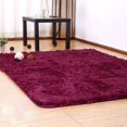 thumbnail image 1 of fastboy Pleuche Non-slip Bedroom Carpet Door Rug Dustproof Plush Bath Floor Mat, 1 of 2