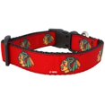 thumbnail image 1 of All Star Dogs Chicago Blackhawks Dog Collar, Medium, Team Colors, 1 of 3