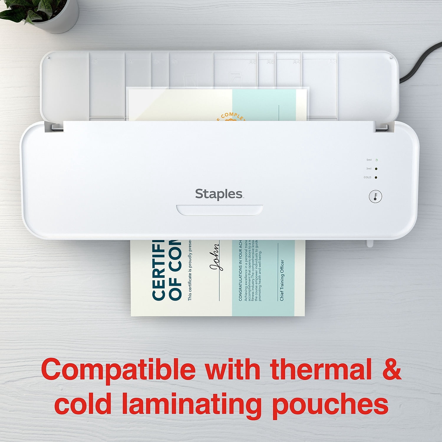 Staples Thermal & Cold Laminator 12.9" Width White/Gray (OL312S)