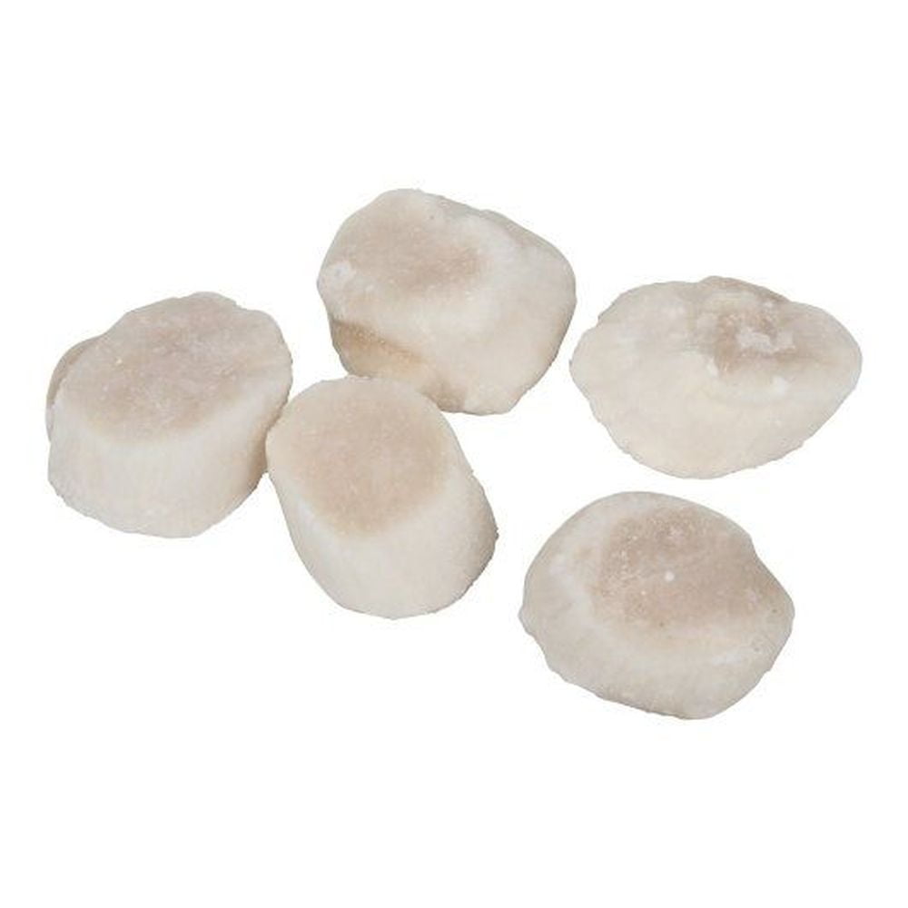 Frozen Seafood Premium 20 to 30 Count Dry Sea Scallops, 5 Pound -- 2 per case