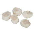 thumbnail image 4 of Frozen Seafood Premium 20 to 30 Count Dry Sea Scallops, 5 Pound -- 2 per case, 4 of 5