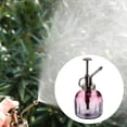 thumbnail image 6 of BESTONZON Glass Watering Can Watering Pot Spray Bottle for Indoor Outdoor Plants Flower, 6 of 6