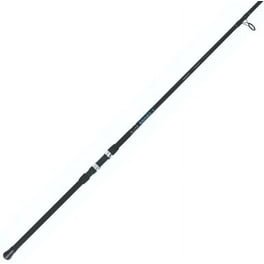 ダイワ（DAIW A） Daiwa Beefstick Surf Rod 2 Piece 11ft Medium Heavy XF