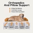 thumbnail image 3 of Cama para Perro MEKIY Ortopédica Lavable con Respaldo Removible XXL, 3 of 9
