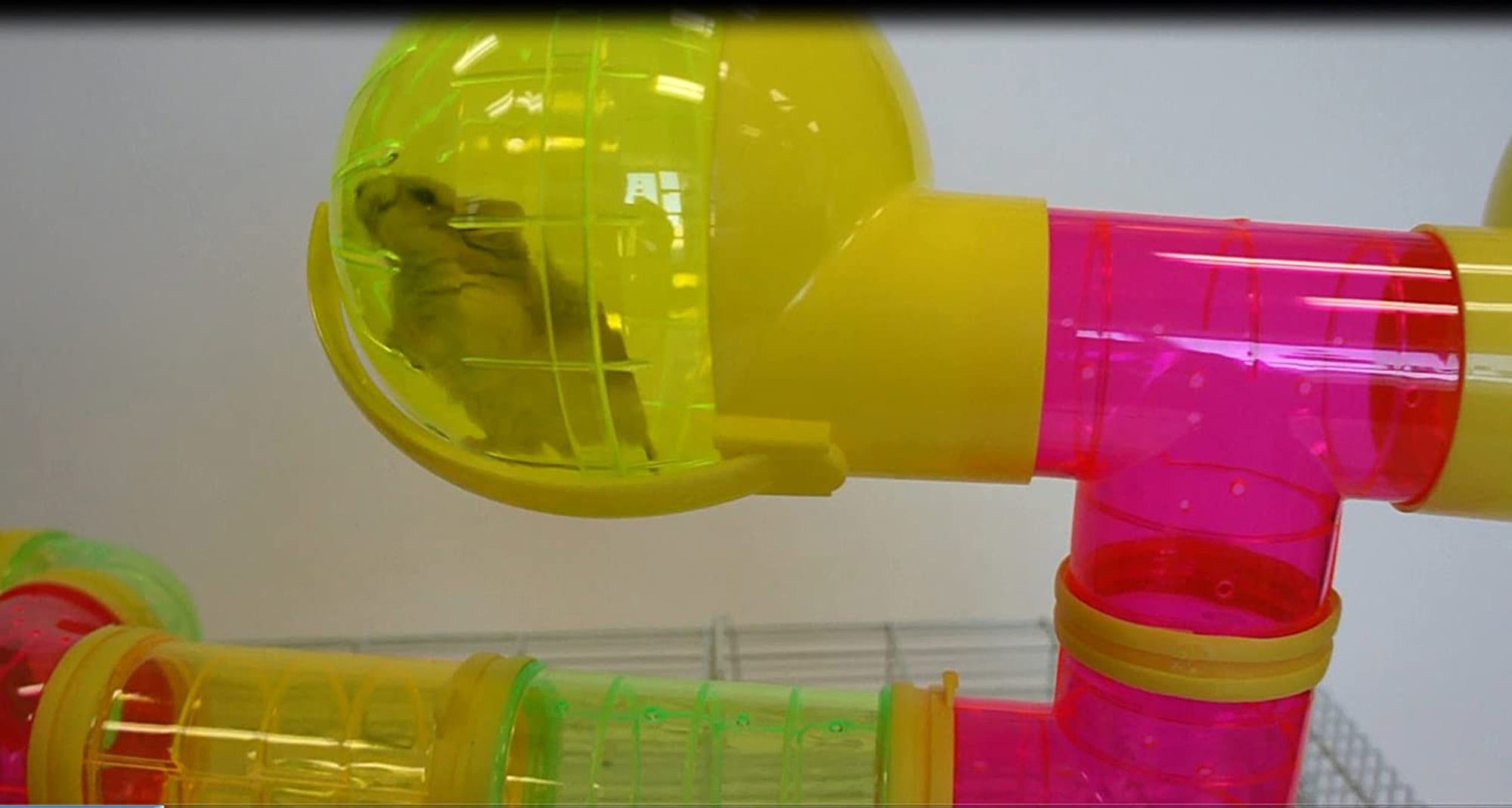 Ymlgroup Dwarf Hamster, Mice Cage, with Color Tubes and Accessories, Pink
