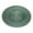 Green, variant on Fiocias Creative Glass Dinner Plates Round Serving Platter Stripes Patterns Dinner Plate Green