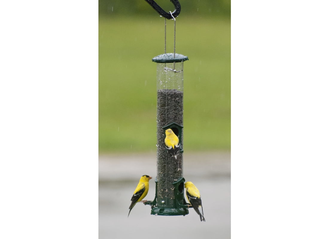 Audubon NATUBE2 Bird Feeder Wild Bird 2 lb Metal Tube 4 ports Green