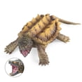 thumbnail image 3 of thinsony Snapping Turtle Figure Educational Toy Playset Model Kids Room Birthday Gift, 3 of 8