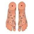 thumbnail image 4 of Infant Massage Training Model With Marked Acupoints Points For Infant Nursing, 4 of 11