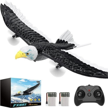 MUSICOZY RC Eagle Plane, 2.4GHz 2CH, RTF Airplane with 6-Axis Gyro, 2 Batteries, Easy to Fly, Kids