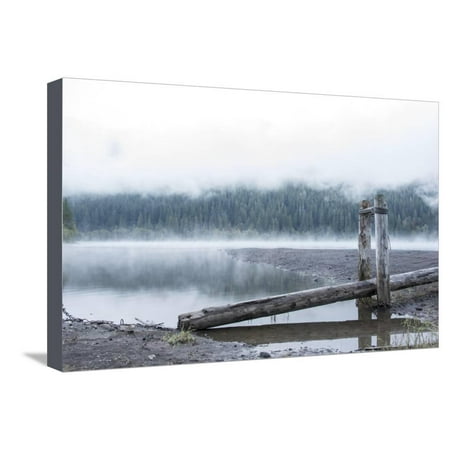 USA, Washington State, Mt. Baker Snoqualmie National Forest. Morning fog Horseshoe Cove Campground Stretched Canvas Print Wall Art By Trish