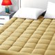 thumbnail image 1 of EASELAND Funda de almohada para colchón tamaño Queen, protector de colchón ajustable acolchado, parte superior de algodón de 8 a 21 pulgadas de profundidad, cubrecolchón refrescante (60 x 80 pulgadas,, 1 of 4
