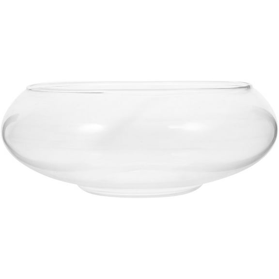 LULULION Small Glass Planting Pots Planter Pot Transparent 1Pack for Home Decoration