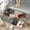 Abstract Composition, variant on 1pc White Rabbit with Flowers Absorbent Non-Slip Bathroom Thickened Flannel Rug Decor,Soft,Quick Drying,Suitable For Indoor/outdoor Use,Bathrooms,Bedrooms,Kitchens,Terrace,Laundry Rooms,16"x24"