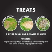 Spectracide Immunox Fungus Plus Insect Control for Lawns, 32 Ounces