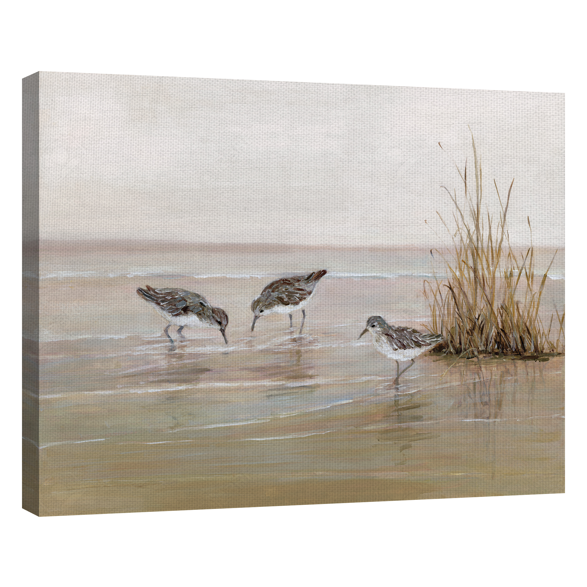 Fine Art Canvas Early Risers II Sandpiper Beach Birds by Sally Swatland Canvas Art Print