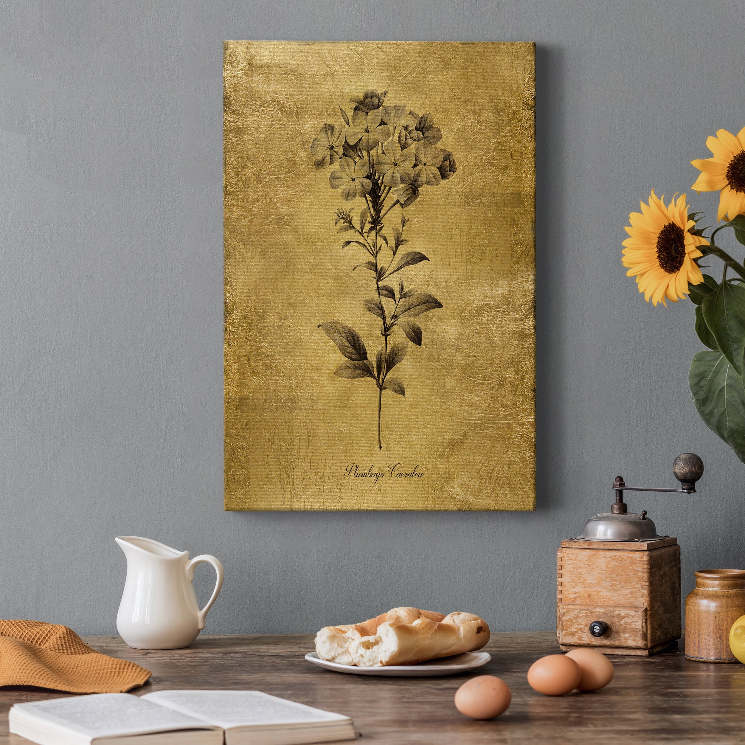 Gold Sketch Botanical II Premium Gallery Wrapped Canvas - Ready to Hang - 24 x 36