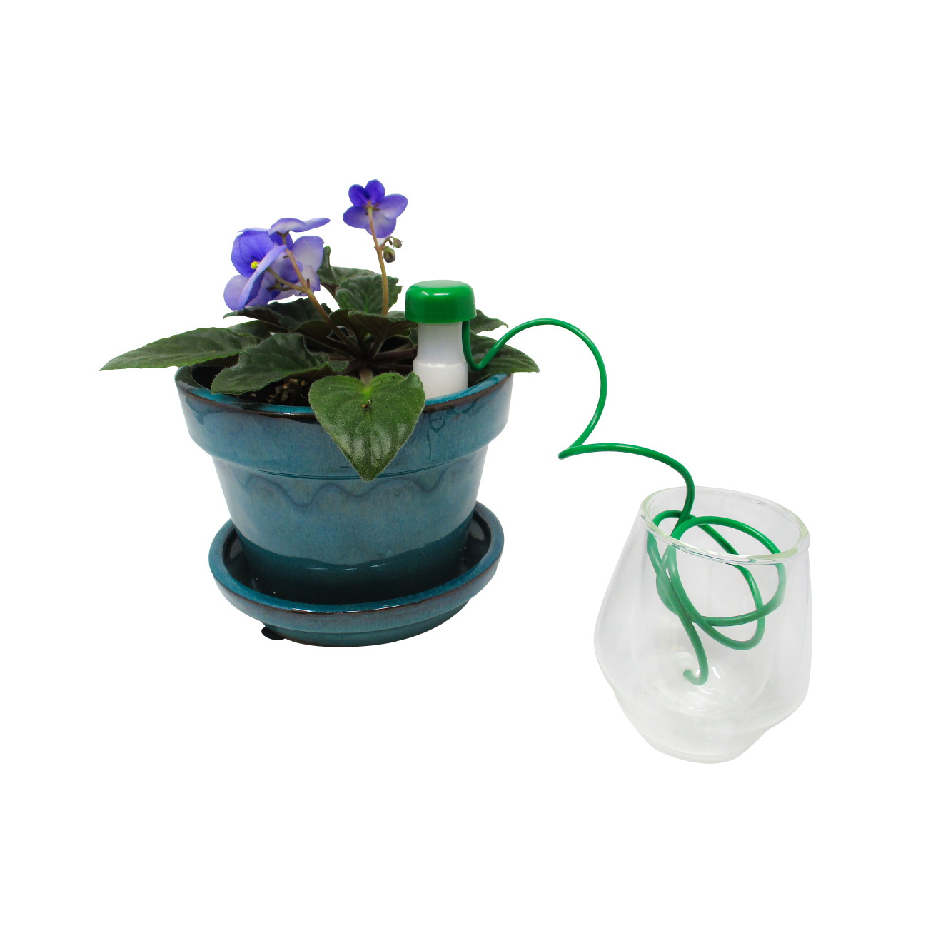 Self Watering Ceramic Plant Spikes (Set of 6)