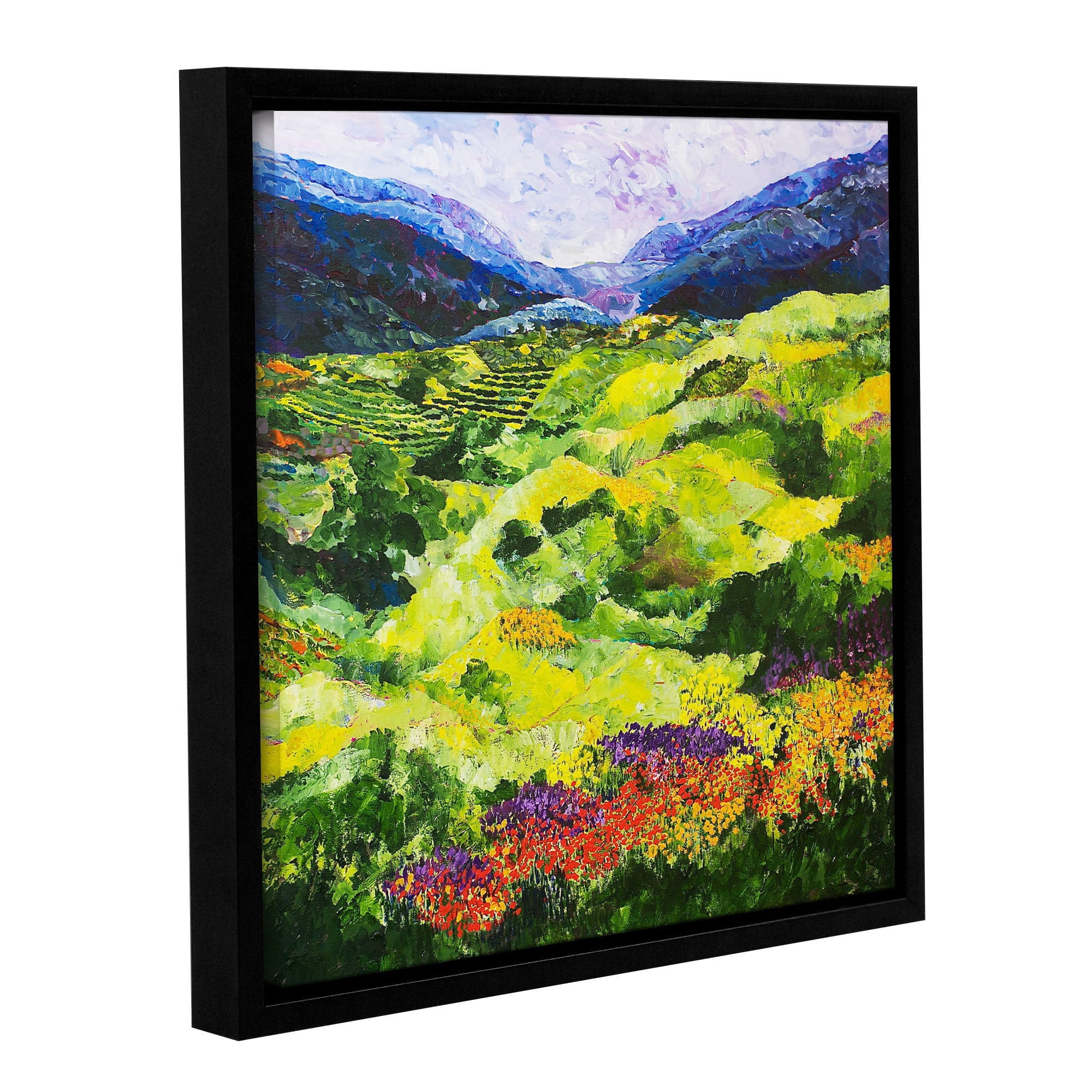 ArtWall Allan Friedlander "Soft Grass" Gallery-wrapped Floater-framed Canvas