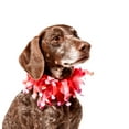 thumbnail image 2 of Midlee Valentine's Heart Decorative Dog Collar (X-Large), 2 of 7