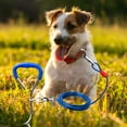thumbnail image 4 of Heavy Duty Metal Dog Tie Out Stake Kit Secure Outdoor Pet Ground Tether Training for Small and Medium, 4 of 5