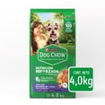 thumbnail image 1 of Alimento para Perro Dog Chow Extra Life Longevidad 4 kg, 1 of 6