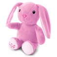 thumbnail image 3 of Build-A-Bear Workshop - Furry Friends - Lil' Pink Bunny, 3 of 5