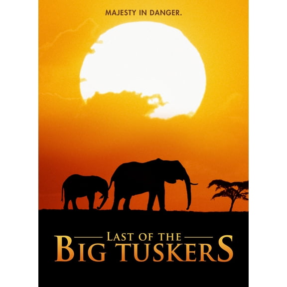 Last Of The Big Tuskers