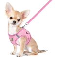 thumbnail image 1 of LAICAIW Dog Harness and Leash Set, No-Pull Breathable Soft Mesh Puppy Vest Harness Reflective Adjustable Pet Harnesses for Small Medium Dogs and Cats-Outdoor Easy Control for Walking (XS (chest 10.2, 1 of 7