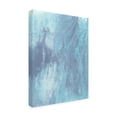 thumbnail image 2 of Trademark Fine Art 'Arctic Brilliancy II' Canvas Art by Regina Moore, 2 of 3