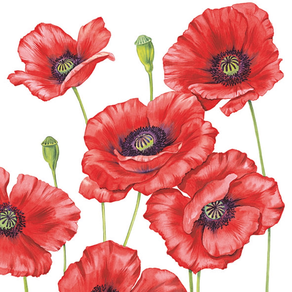 Ambiente Romantic Poppy Cocktail Napkins, 20 Ct by Supplier Generic