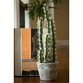 thumbnail image 4 of Nearly Natural 4845 Decorative Cactus Garden with Cement Planter Multi Color (4845), 4 of 4