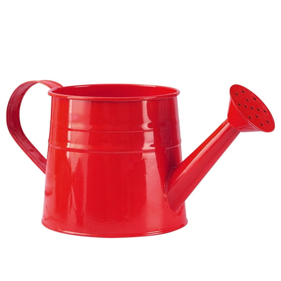 4L Metal Watering Can, for Garden Flower Watering, Watering Can Gardening Tool - 4L Metal Flower Garden Watering Can for Outdoor Indoor, Long Spout, Galvanized Steel, Durable, Kingtowag