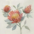 thumbnail image 2 of Vassileva, Silvia 15x15 White Modern Wood Framed Museum Art Print Titled - Field Bloom II, 2 of 4