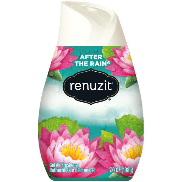 Renuzit Solid Gel Air Freshener Cone, After the Rain, 1 Count Walmart