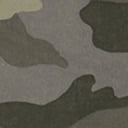 Woodland Camo